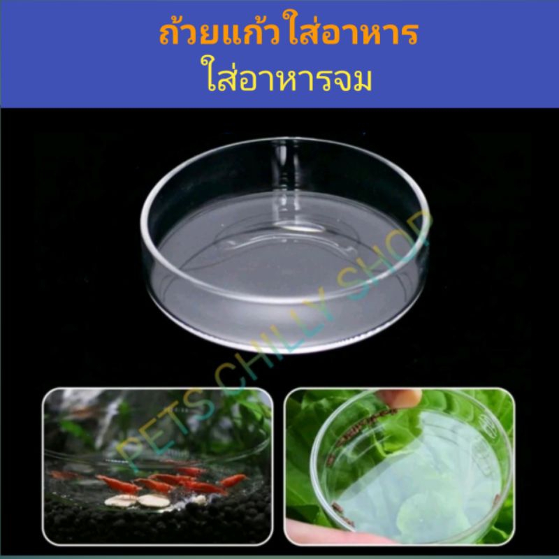 ถาดใส่อาหารกุ้ง ปลา Glass feeder