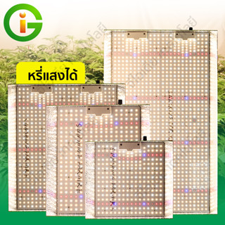 ไฟปลูกต้นไม้ LED GROW LIGHT SMD2835 200W/300W เต็มสเปกตรัม  โคมไฟปลูกพืช  แสงดี ฮู้ดสะท้อนแสงสูง แสงกว้างขึ้น ทำใบ ทำดอก