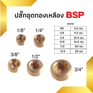 ปลั๊กอุด ตัวเก็บเสียงทองเหลือง ตัวเก็บเสียงหัวยาว Brass Silencers ข้อต่อทองเหลือง (BESL/BSL/BSP)