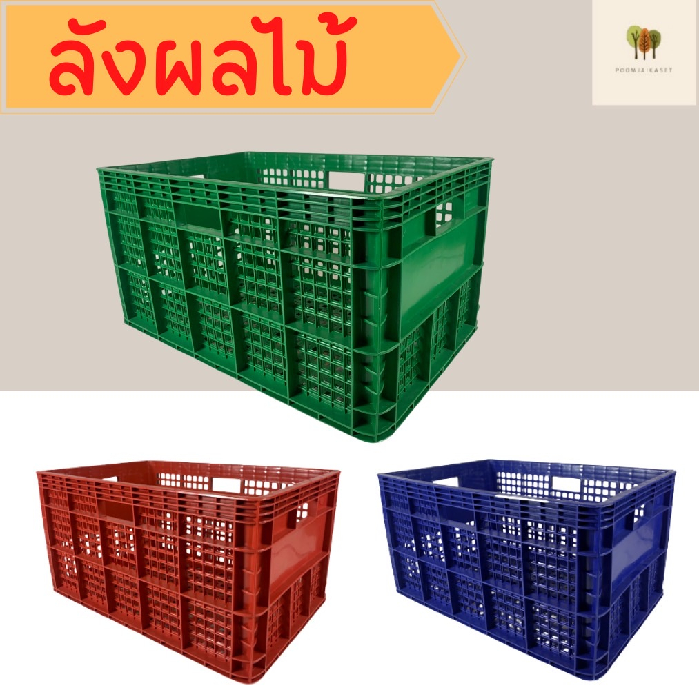 ลังพลาสติก ลังผลไม้ ลังเก็บของ ลัง แบบโปร่ง ตะกร้าผลไม้ ลังโปร่ง 426 ขนาด 37.0 x 55.5 x 30.5 cm