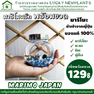 #CC มาริโมะ สาหร่ายญี่ปุ่น marimo เซ็ทพร้อมขวด #C มีของพร้อมส่ง