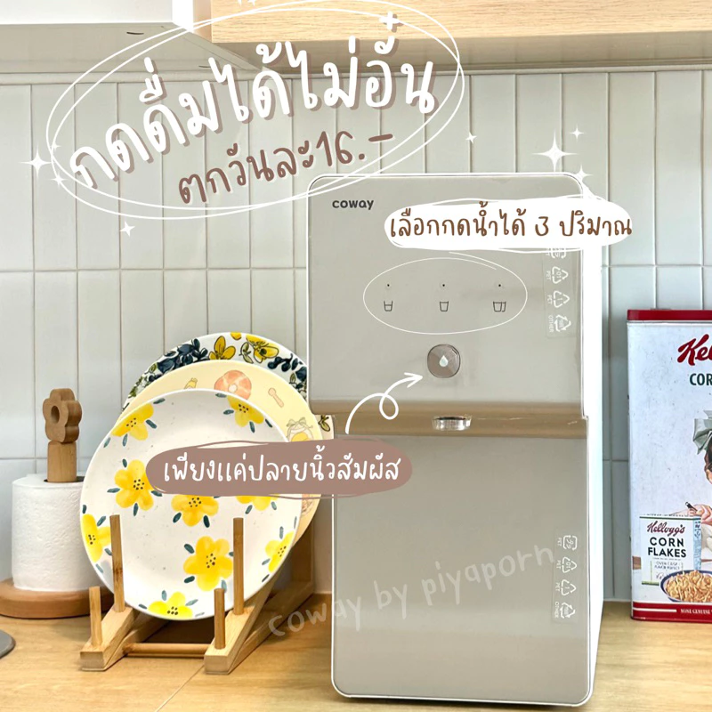 เครื่องกรองน้ำ Coway รุ่น ซินามอล น้ำอุณหภูมิปกติ thumbnail 3