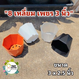 กระถาง 8 เหลี่ยม เพชร 3 นิ้ว //กด 12 ใบ 60฿ -- แคคตัส กระบองเพชร กระถางพลาสติก