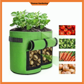 Smart Pot Potato Plant Grow Bags ถุงปลูกต้นไม้แบบผ้า M/L แกลลอน Fabric Pot