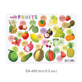 โปสเตอร์พลาสติกขนาด A4 ผลไม้Fruits EA-450