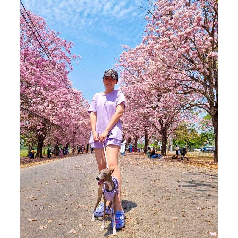 Lunar Studio126 ร้านทำเอง ไม่ซ้ำใคร ชุดเซ็ทผ้านุ่ม สีพาสเทล ควรเก็บให้ครบ น่ารักทุกสีเลยค่ะ