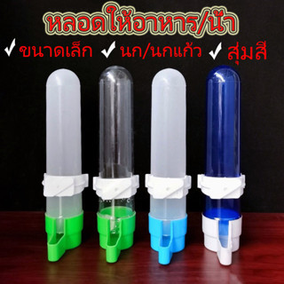 ถูก ที่ให้น้ำนก ที่ให้อาหารนก หลอดให้น้ำ หลอดให้อาหาร นกแก้ว แบบล็อคกรง เหมาะสำหรับนกขนาดเล็ก สุ่มส