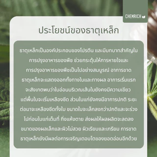 100G/500G Fe-DTPA เหล็กแดงคีเลต ดีทีพีเอ 11.6% เหล็กแดง เหล็กคีเลต จุลธาตุเหล็ก / Fe-DTPA Chelated iron micronutrient