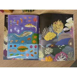 Aksara for kids หนังสือเด็ก สนุกกับการติด สติกเกอร์ ปลาสวยงาม ตามแนว ปะการัง