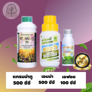 ส่งฟรี⭐️ ชุด3ขวดเล็ก เอฟอช 100cc + แกรมม่าทู 500cc + เอมม่า 500 cc ซีโฟ 500cc