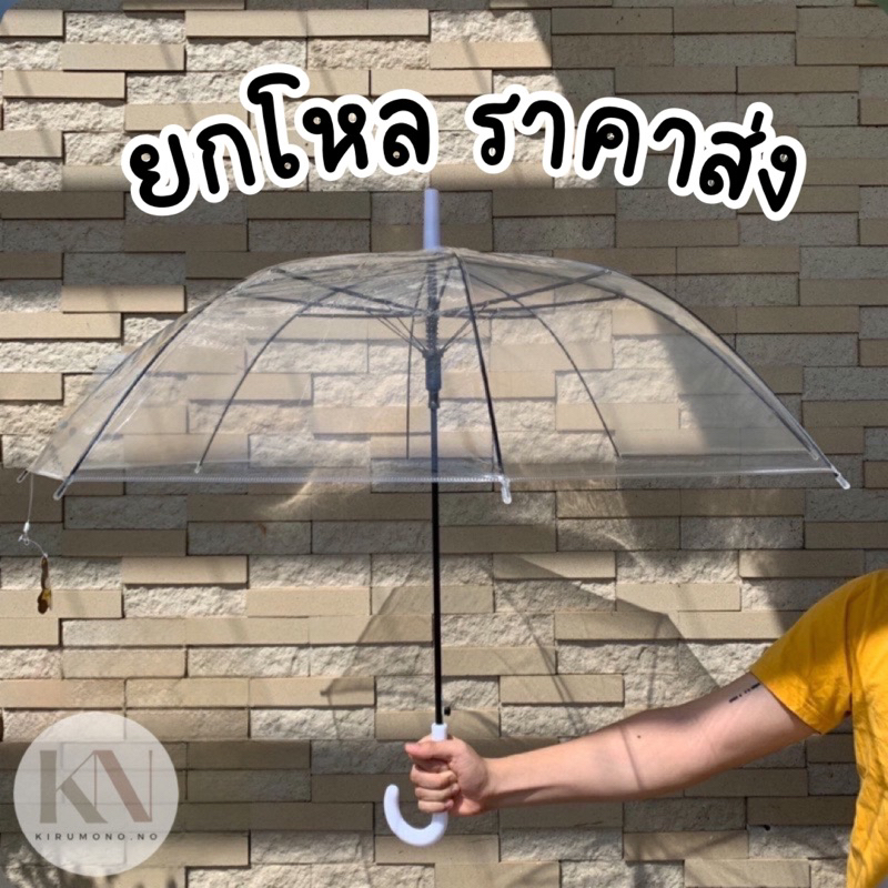 ✅ยกโหล ราคาส่ง‼️ร่มใส สไตล์เกาหลี🌷 ขนาด22นิ้ว มินิมอล แข็งแรง ทนทาน ผ้าหนา 8 ก้าน ราคาถูก ร่มแฟชั่น ร่มน่ารัก สวย เกาหลี