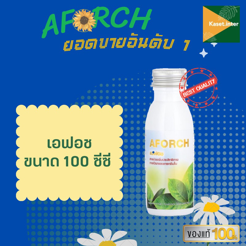 เอฟอช สารจับใบชนิดพิเศษคุณภาพสูง 100ซีซี ใช้ได้กับทุกพืช