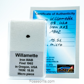 อุกกาบาต เหล็ก  Willamette Meteorite ชนิด Medium Octahedrite ชิ้นเล็ก พร้อมใบรับรอง จาก Germany #5 หนัก 0.015 กรัม