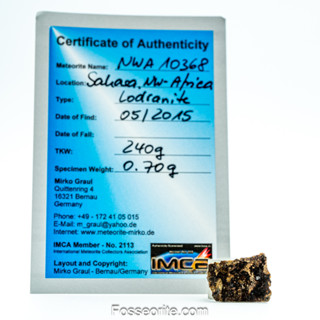 อุกกาบาต NWA10368 Primitive Achondrite Lodranite Meteorite แบบสไลซ์ พร้อมใบรับรอง จาก Germany #1 หนัก 0.7 กรัม