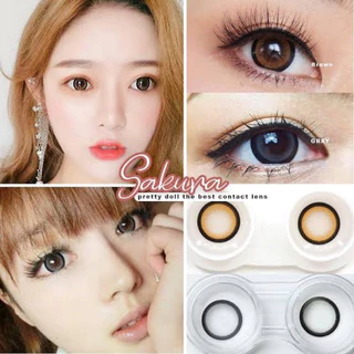 ส่งด่วนทุกวัน‼️คอนแทคเลนส์ Sakura Brown - Wink Lens / Pitchy Lens สีน้ำตาลขนาดตาโต