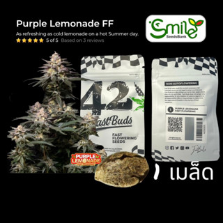 เมล็ดกัญชา Purple Lemonade FF (Fast) - Fastbuds