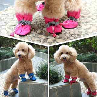 「27Pets」ถุงเท้ายาง แบบนิ่ม กันลื่น สําหรับสัตว์เลี้ยง สุนัข 4 ชิ้น ต่อชุด