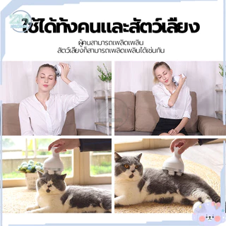 เครื่องนวดหัวแมว นวดแมว/เครื่องนวดแมว/ของเล่นแมว ช่วยให้ความผ่อนคลาย ใช้งานง่าย