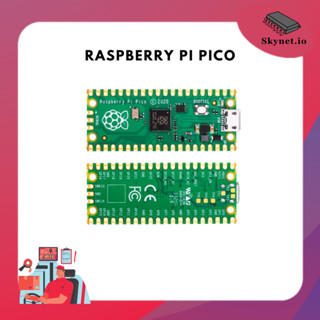 Raspberry Pi Pico (no include wireless).