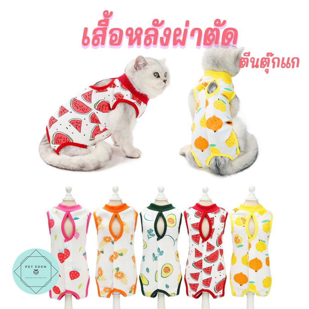 Restock เสื้อหลังผ่าตัดผลไม้ Pet Recovery Suit เสื้อทำหมัน แมว หมา สุนัข