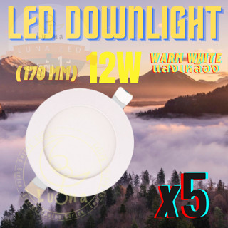 LED โคมไฟดาวน์ไลท์กลม ดาวน์ไลท์ LED PANEL LIGHT โคมดาวไลท์ ดาวน์ไลท์ฝังฝ้า โคมไฟเพดาน LED Downlight 12W โคมไฟติดเพดาน