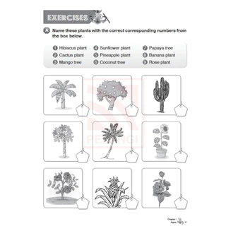Taladboran(แบบเรียน-แบบฝึกหัดนำเข้า ป1-ป6) Primary Education Smart Plus Workbook Science