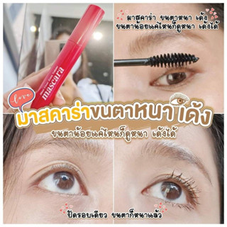 Ustar Zignature Maxx Cover Extra Volume Mascara มาสคาร่าเนื้อฟิล์มสีดำสนิท ยูสตาร์ ซิกเนเจอร์ แม็กซ์ คัฟเวอร์ มาสคาร่า