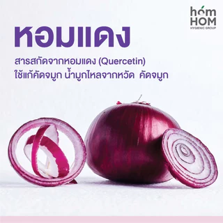 สติกเกอร์หอมแดง (HOMHOM SHALLOT PAD) น้ำมันหอมระเหย 100%🍃 1 กล่อง