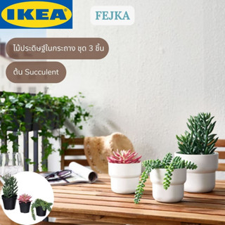 IKEA FEJKA เฟคก้า ไม้ประดิษฐ์ในกระถาง ชุด 3 ชิ้น ใน/นอกอาคาร ต้น Succulent