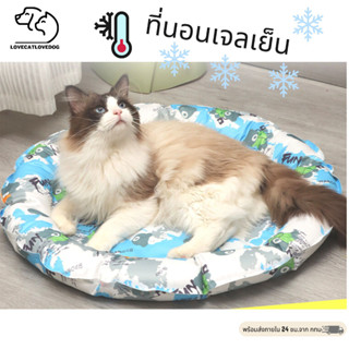 ที่นอนเจลเย็น🐶🐱ที่นอนเย็น ที่นอนแมวเย็น แบบกลม แบบสี่เหลี่ยม❄️ ที่นอนแมว ที่นอนสุนัข PET COOLING NEST [พร้อมส่ง]