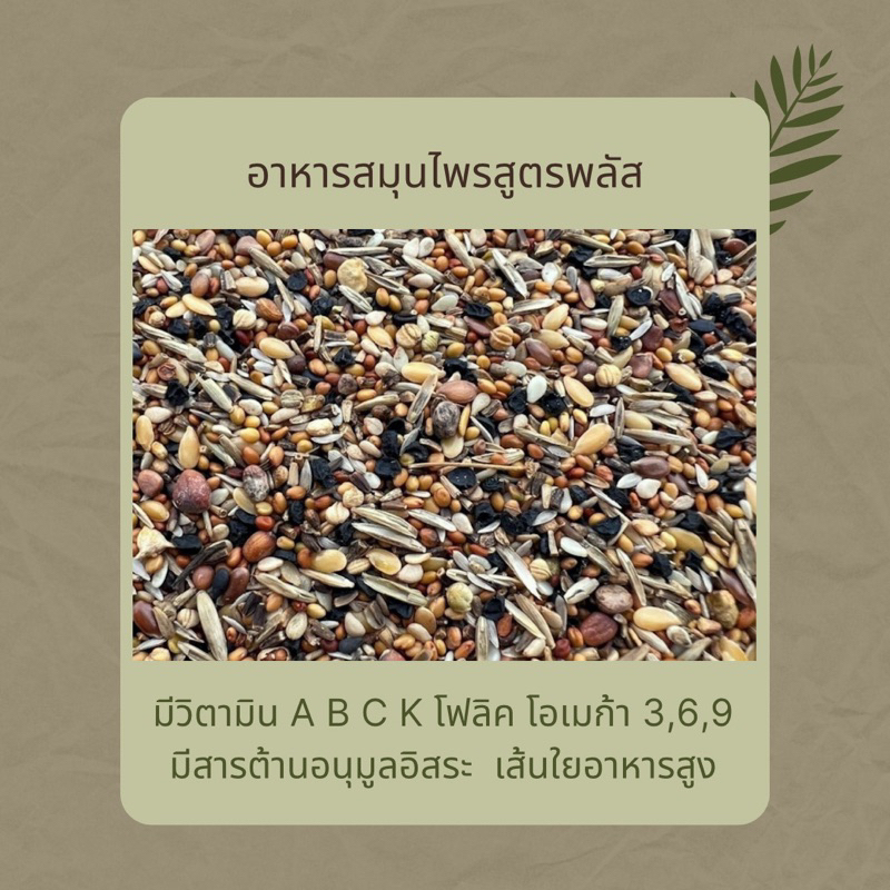 อาหารสมุนไพรสำหรับนก สูตรพลัส  มีไฟเบอร์ แคลเซียม โปรตีน เบต้าเเคโรทีน วิตามิน A B C K และโอเมก้า 3,