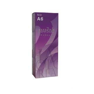 Berina - A6 สีม่วง สีผม Violet Hair Color Cream W.200 รหัส.BerinaA6