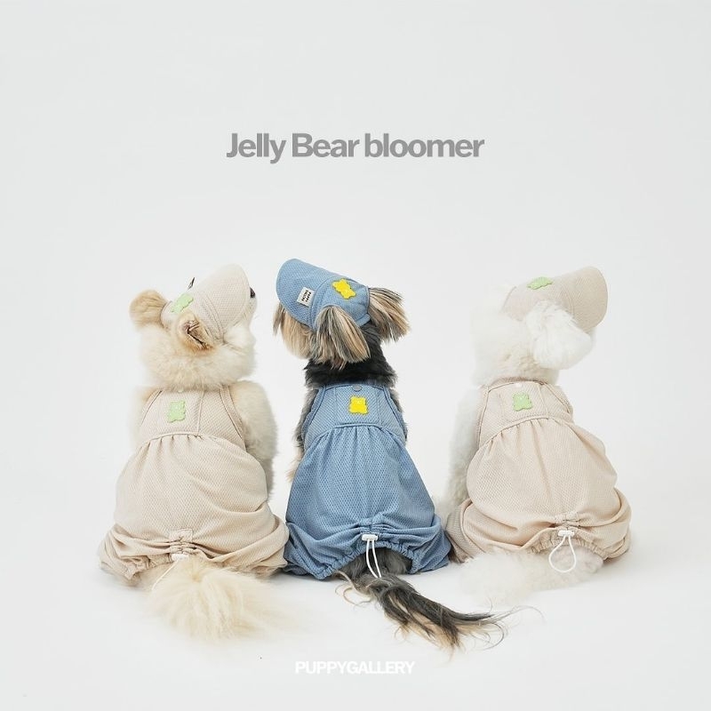 Cooling Jelly bear Bloomer 🐻 Puppy Gallery ชุดเย็น คูลลิ่ง สำหรับสัตว์เลี้ยง 🐶😺 จากเกาหลี🇰🇷