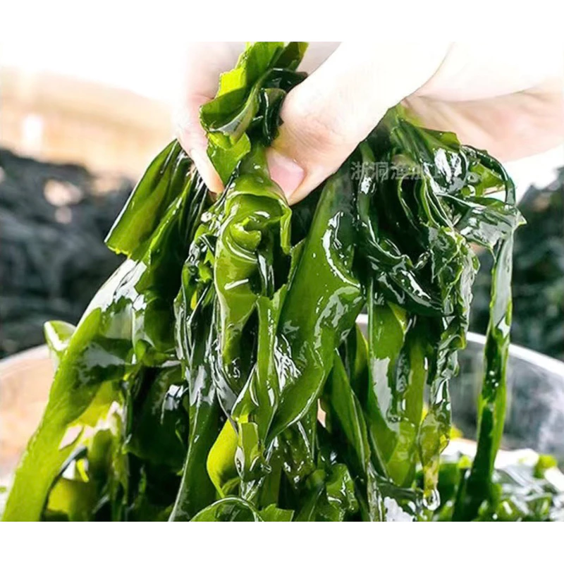 สาหร่ายวากาเมะ สาหร่ายแห้ง ซูปสาหร่าย ซุปมิโซะ  100g 干燥裙带菜 thumbnail 5