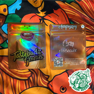 เมล็ดกัญชา Tastebudz Genetics Cherry Cheesecake Auto Cannabis Seeds (Pack of 3)