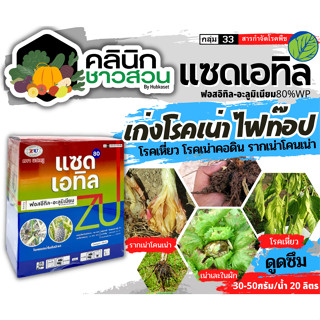 🥬 แซดเอทิล (ฟอสอีทิล-อะลูมิเนียม) บรรจุ 1กิโลกรัม ใช้ป้องกันกำจัดโรคยอดเน่า