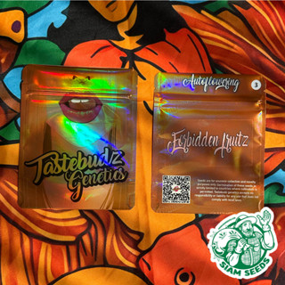 เมล็ดกัญชา Tastebudz Genetics Forbidden Fruitz Auto Cannabis Seeds (Pack of 3)