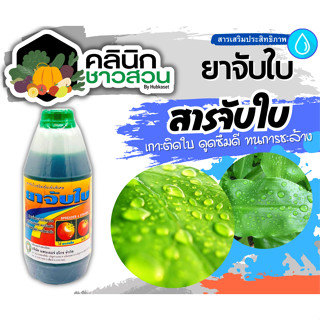 🥬 ยาจับใบ (แพนเตอร์อโกร) บรรจุ 1ลิตร เกาะติด ดูดซึมดี ทนการชะล้าง