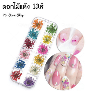 ดอกไม้แห้งติดเล็บ ดอกไม้แห้ง 12 สี คละสี ดอกไม้ตกแต่งเล็บ