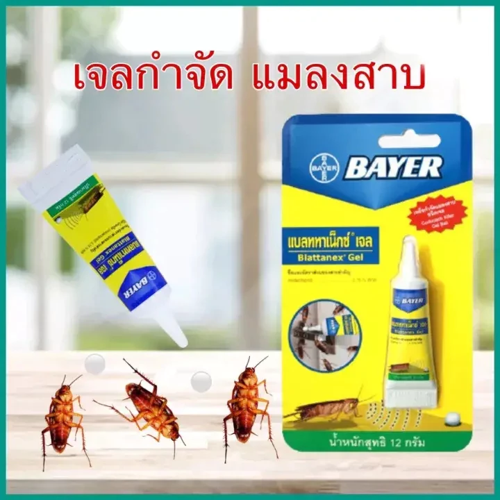 แมลงสาบ-มด : ของแท้❗️ ล๊อตใหม่❗️ ส่งไว❗️ Bayer Blattanex Gel เจลกำจัดแมลงสาบ-มด เหยื่อกำจัดแมลงสาบ ไบเออร์ แบลททาเน็กซ