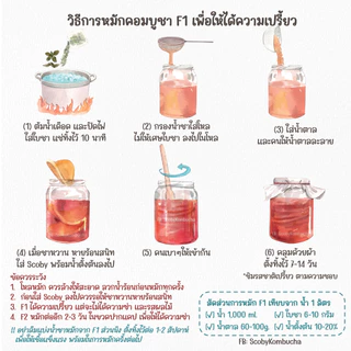 ผ้าคลุมโหลหมักคอมบูชา ผ้าคอตตอน เย็บเก็บขอบ ขนาด 25x25 เซนติเมตร