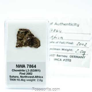 อุกกาบาต หิน  NWA 7864 Meteorite ชนิด L3 Chondrite ชิ้นเล็ก พร้อมใบรับรอง จาก Germany #4 หนัก 2 กรัม