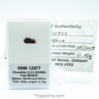 อุกกาบาต หิน NWA 12977 Chondrite LL3.5 Meteorite แบบสไลซ์ พร้อมใบรับรอง จาก Germany #1 หนัก 0.12 กรัม