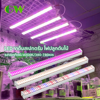 Full Spectrum LED Grow Light 100W 4 แถว ไฟปลุกต้นไม้ ไฟช่วยต้นไม้โตเร็ว แสงแดด แสงสีม่วง 4000K มีสวิตช์ปิดเปิด ไฟต้นไม้