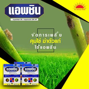 📌📌แอพซิน📌📌ตราพระอาทิตย์ กำจัดและป้องกัน คุมไข่ เพลี้ยกระโดด และเพลี้ยต่างๆ ตายเรียบ ขนาด 1 กิโลกรัม