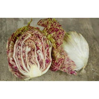 เมล็ดพันธุ์แรดิชิโอ คาสเทลฟรังโก (Castelfranco Radicchio Seed)บรรจุ 100 เมล็ด ของแท้ คุณภาพดี นำเข้าจากต่างประเทศ