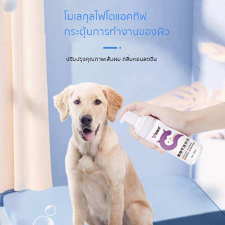 โฟมอาบน้ําแห้งแมว อุปกรณ์สัตว์เลี้ยง น้ํายาซักแห้ง โฟมอาบน้ำแห้ง โฟมซักแห้ง แมว, สุนัข,กระต่าย ไม่ต้องล้าง สะอาด