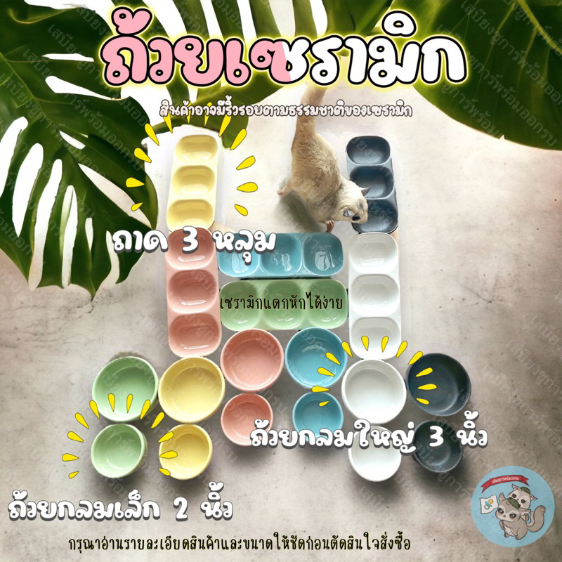 V ( ถ้วยเซรามิก ) ถ้วยเซรามิค ถ้วยนม ถ้วยน้ำ ถ้วยอาหาร ชูการ์ ชูก้า สัตว์เล็ก สัตวเลี้ยง แฮมสเตอร์ นก กระรอก ดอร์เมาส์