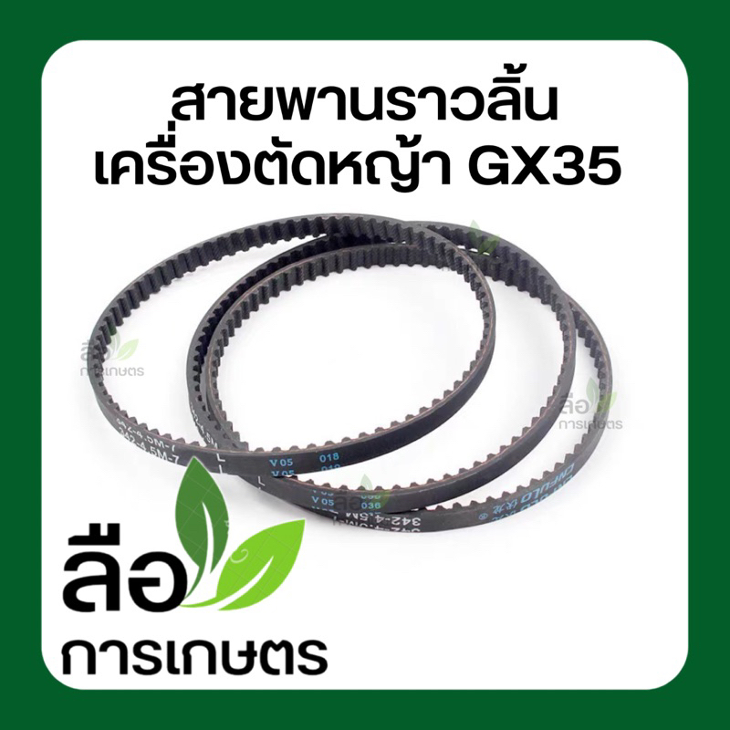 สายพานราวลิ้น GX35 HONDA