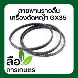 สายพานราวลิ้น GX35 HONDA